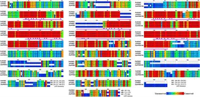 Functional and Predictive Structural Characterization of WRINKLED2, A Unique Oil Biosynthesis Regulator in Avocado